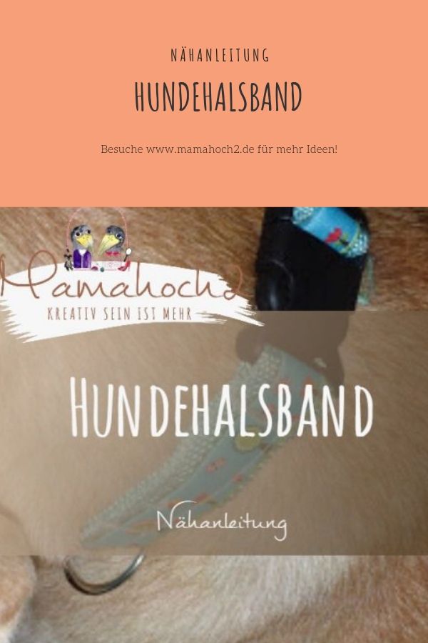 Hundehalsband selbst gemacht auch plüschtiertauglich