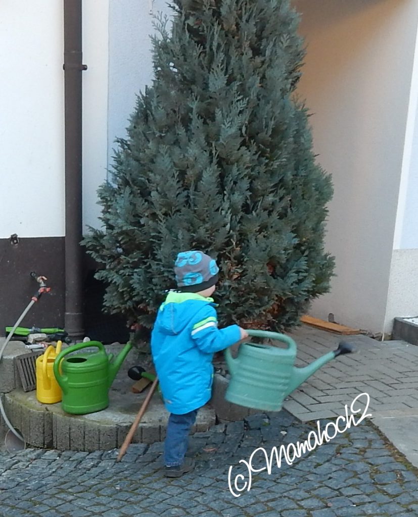 Garten Paul bei der Arbeit