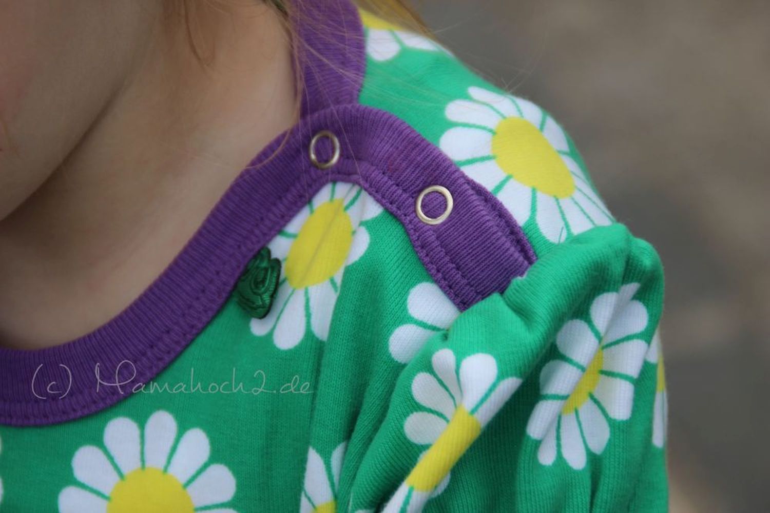 Freds World Daisy Knöpfe