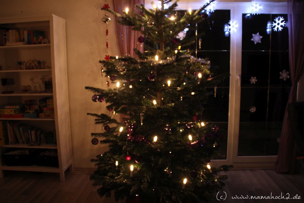 Weihnachtsbaum (3)