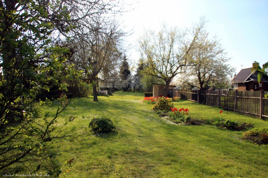 Frühling Garten Tulpen Kinder im Garten