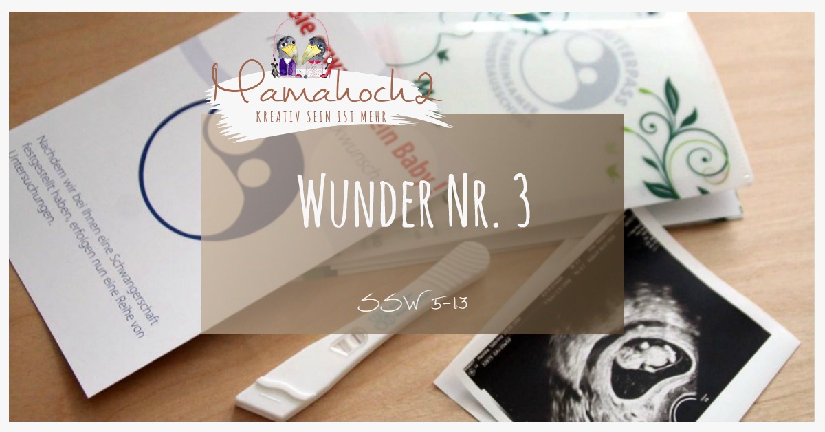 Wunder Nummer 3 5 13 Schwangerschaftswoche Mamahoch2