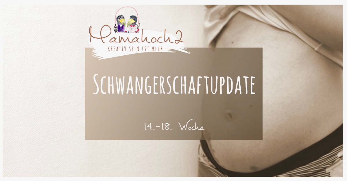 Schwangerschaftsupdate: 14. – 18. Woche