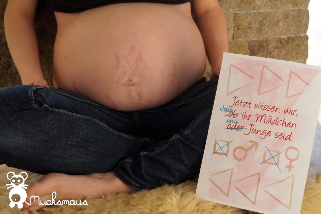 schwangerschaft zwillinge meilensteinkarten