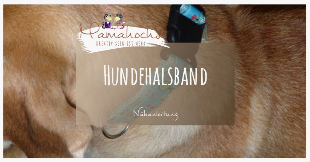 Nähanleitung Tutorial Hundehalsband