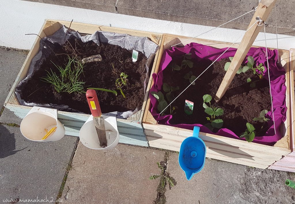 diy hochbeet kinder weinkisten obstkisten garten beet pflanzkiste (1)