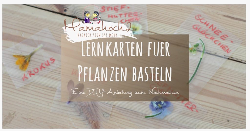 lernkarten pflanzen montessori lernen pflanzen frühblüher