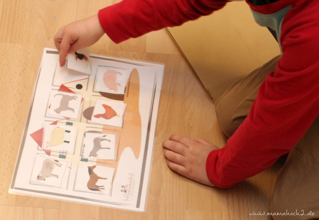 montessori zu hause montessoriathome legespiel tierspiel zuordnungsspiel tierordnung lernen übungen kindergarten (4)