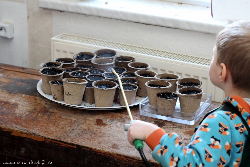 pflanzen züchten gärtnern montessori