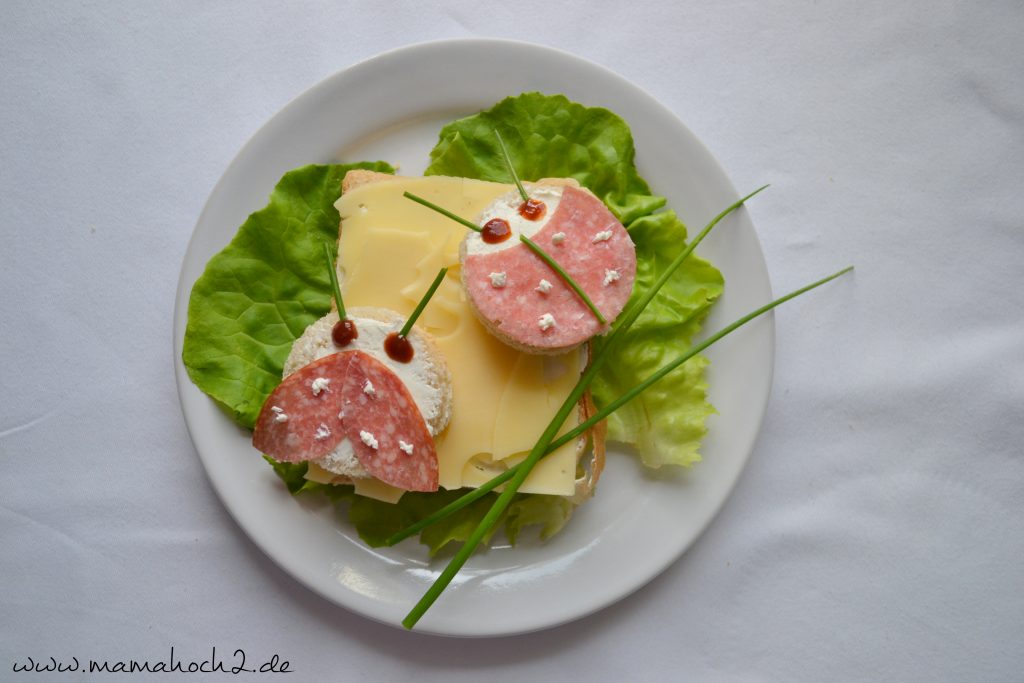 Foodteller . Essen für Kinder . dekorierte Teller 9