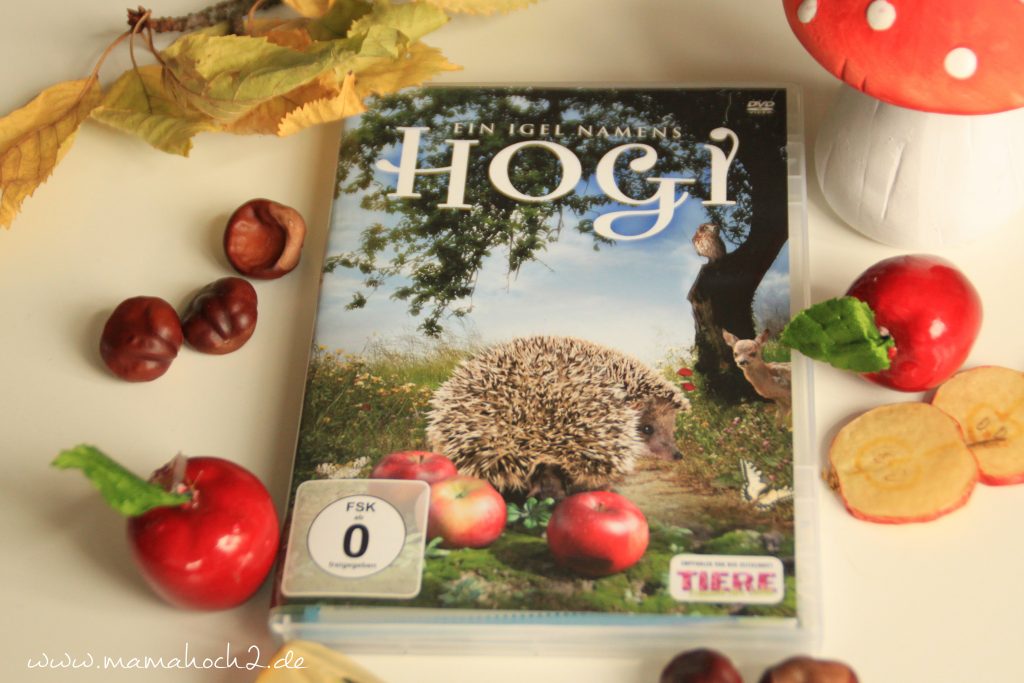 DVD Tipps, Kinderfilme, Ein Igel namens Hogi