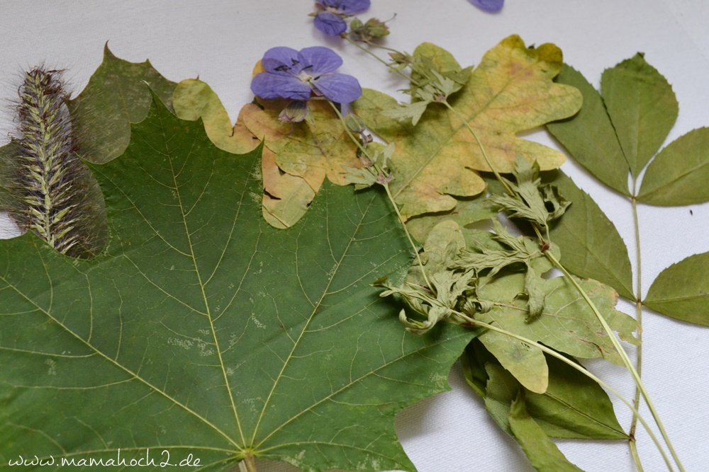 Transparentes Herbstbild – getrocknete blätter als Deko – Herbstdekoration (20)