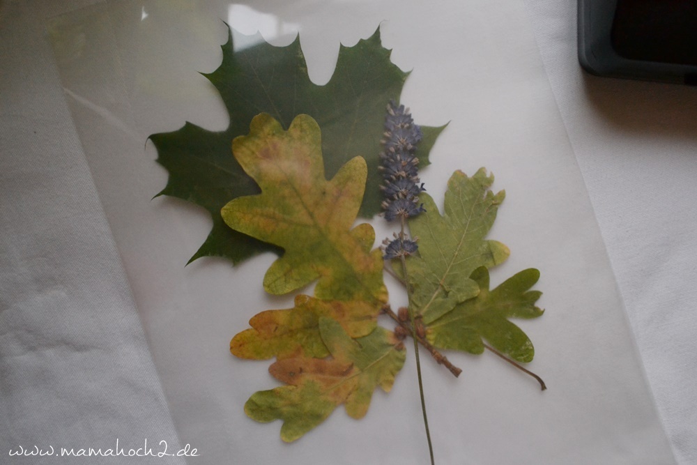 Transparentes Herbstbild – getrocknete blätter als Deko – Herbstdekoration (22)