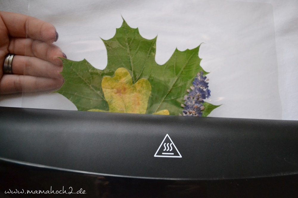 Transparentes Herbstbild – getrocknete blätter als Deko – Herbstdekoration (24)