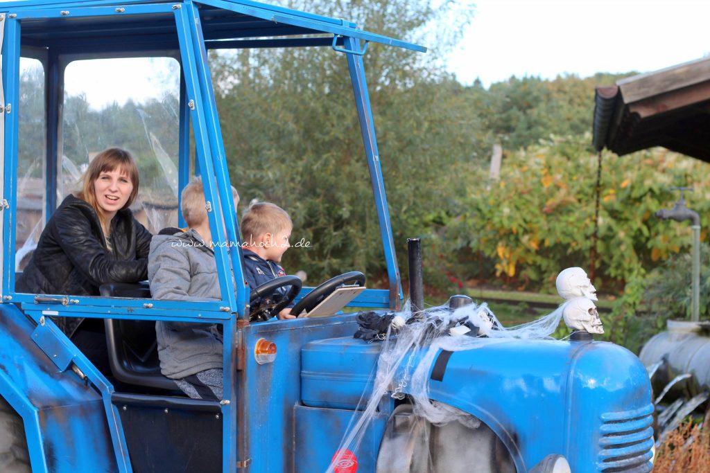 urlaub rügen herbst mit kindern ostsee (2)