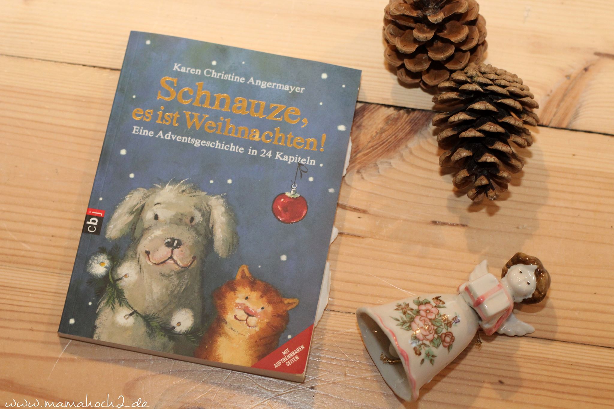 Weihnachtsbücher weihnachten bücher (5) schnauze es ist weihnachten.jpg