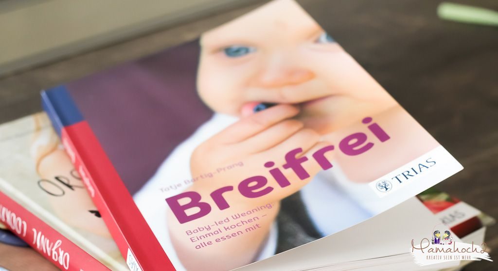 breifrei breistart beikost baby brei breieinführung mamablog (1)