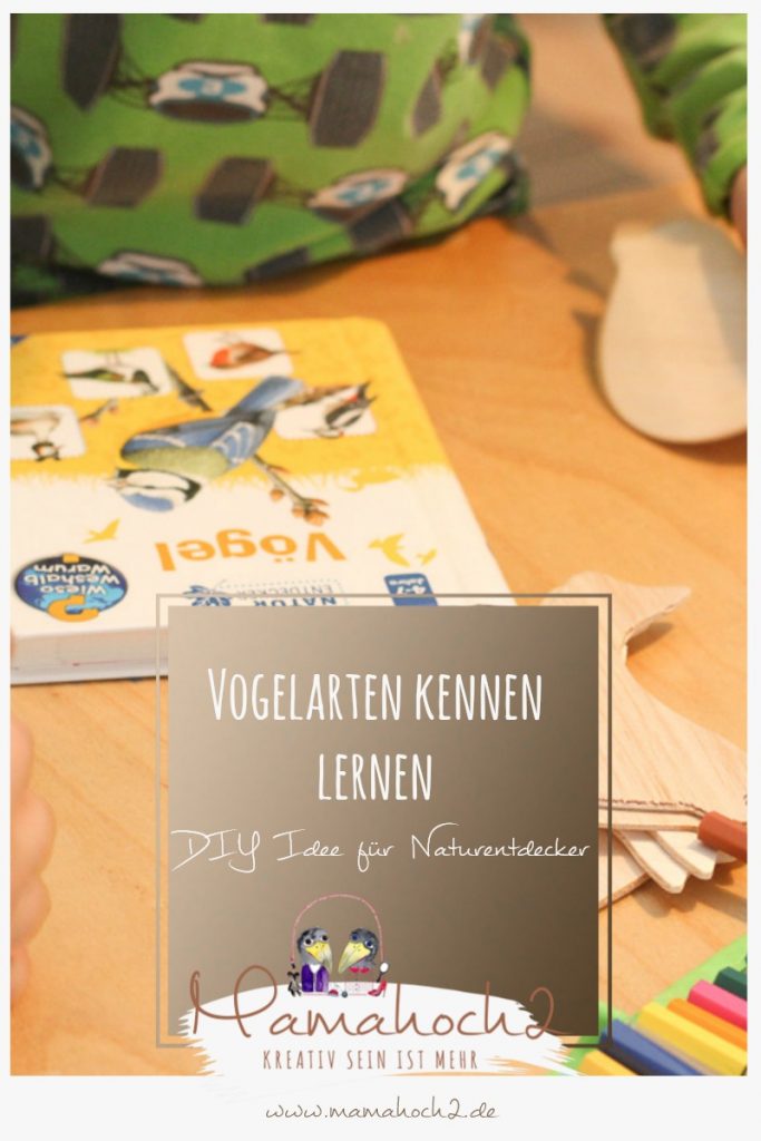 diy idee vogelarten vögel tiere natur naturdetektive lernen kinder selbermachn lernidee