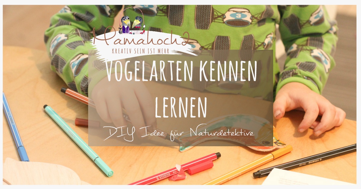 DIY Idee für Naturdetektive: Vogelarten kennen lernen für Kinder