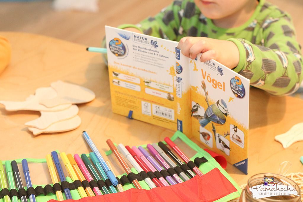 heimische vogelarten kinder lernene diy vögel bestimmen naturdetektive (5)