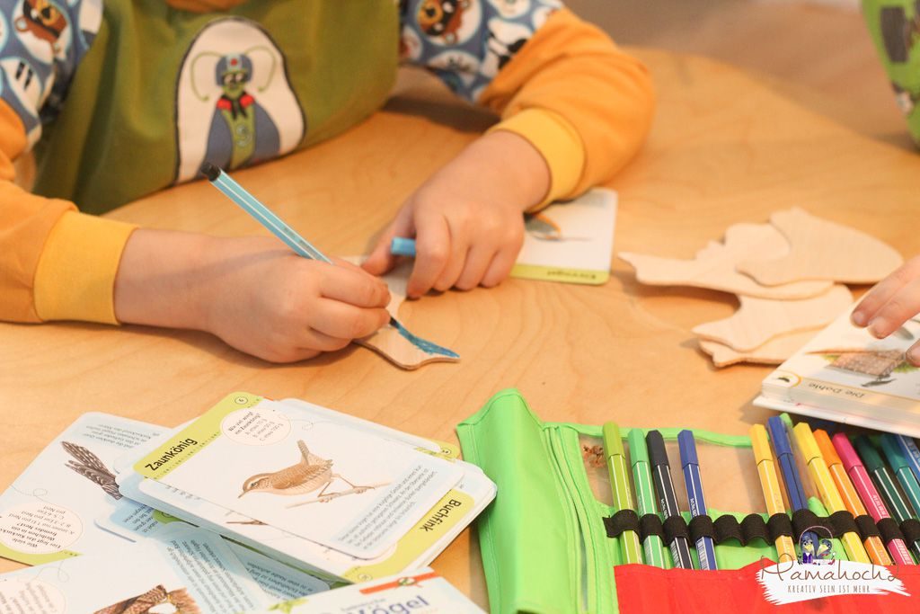 heimische vogelarten kinder lernene diy vögel bestimmen naturdetektive (6)