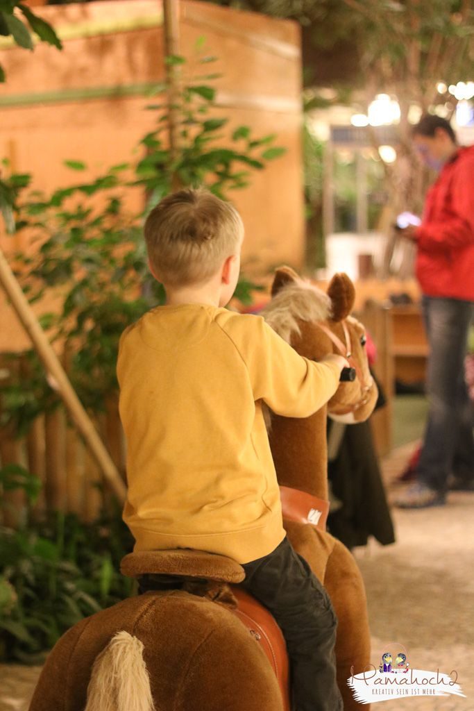 center parcs erfahrungsbericht bostalsee familienurlaub (57)