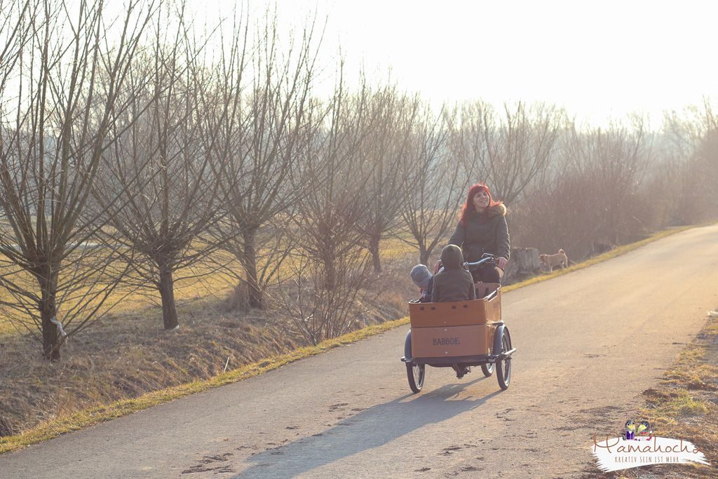 erfahrungsbericht lastenrad babboe (6)