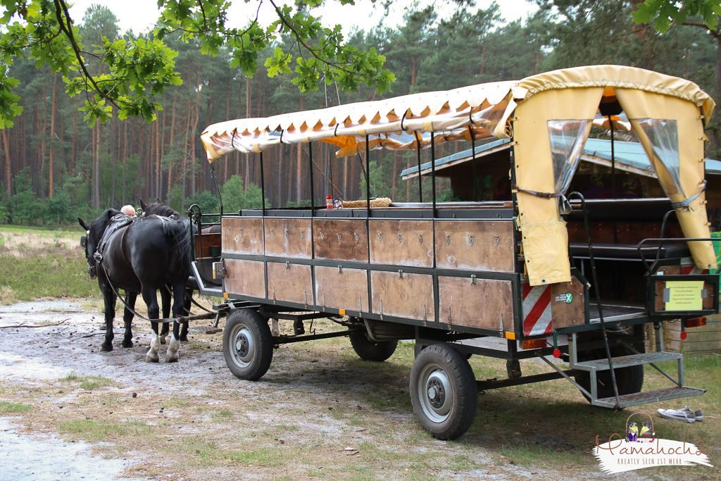 familotel averbeck erfahrungen reisen mit kindern (4)