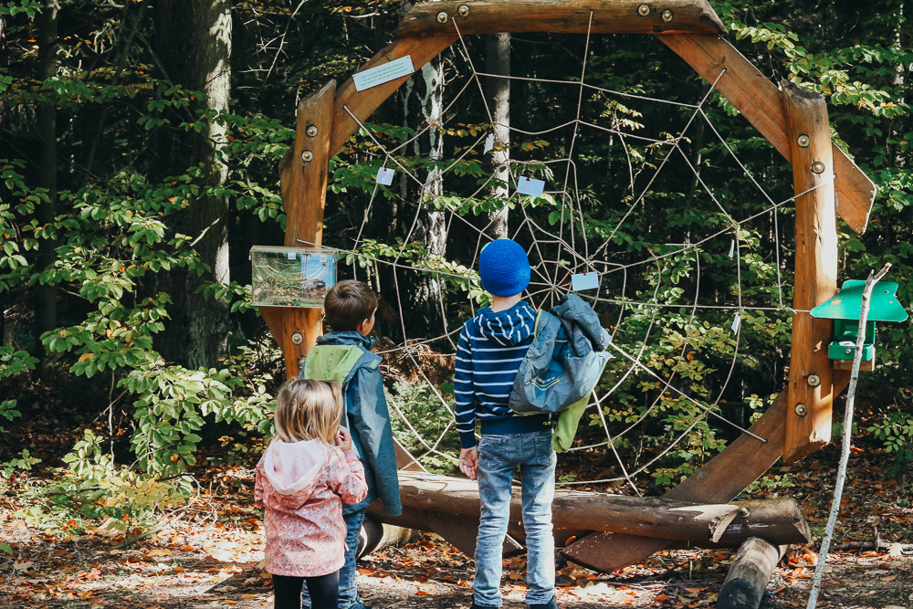 Eine Homage an meine Heimat: Meine Heimat = Dein Familienurlaub im Vogtland