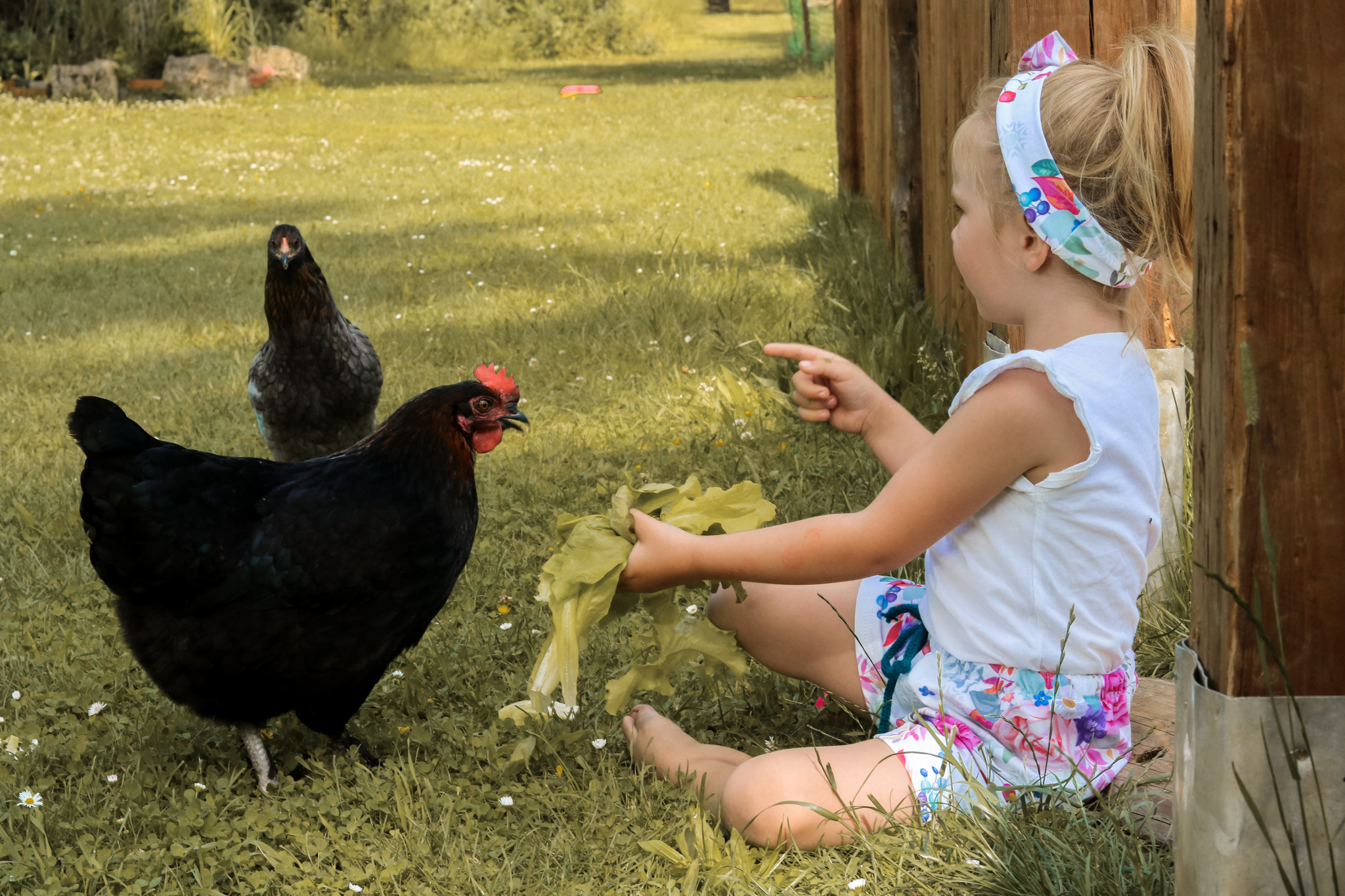 Kostenfreie Nähanleitung für kurze Sommerhosen