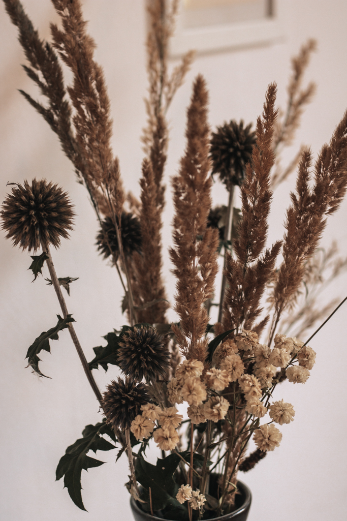 Trockenblumen selber machen – Diese Pflanzen eignen sich